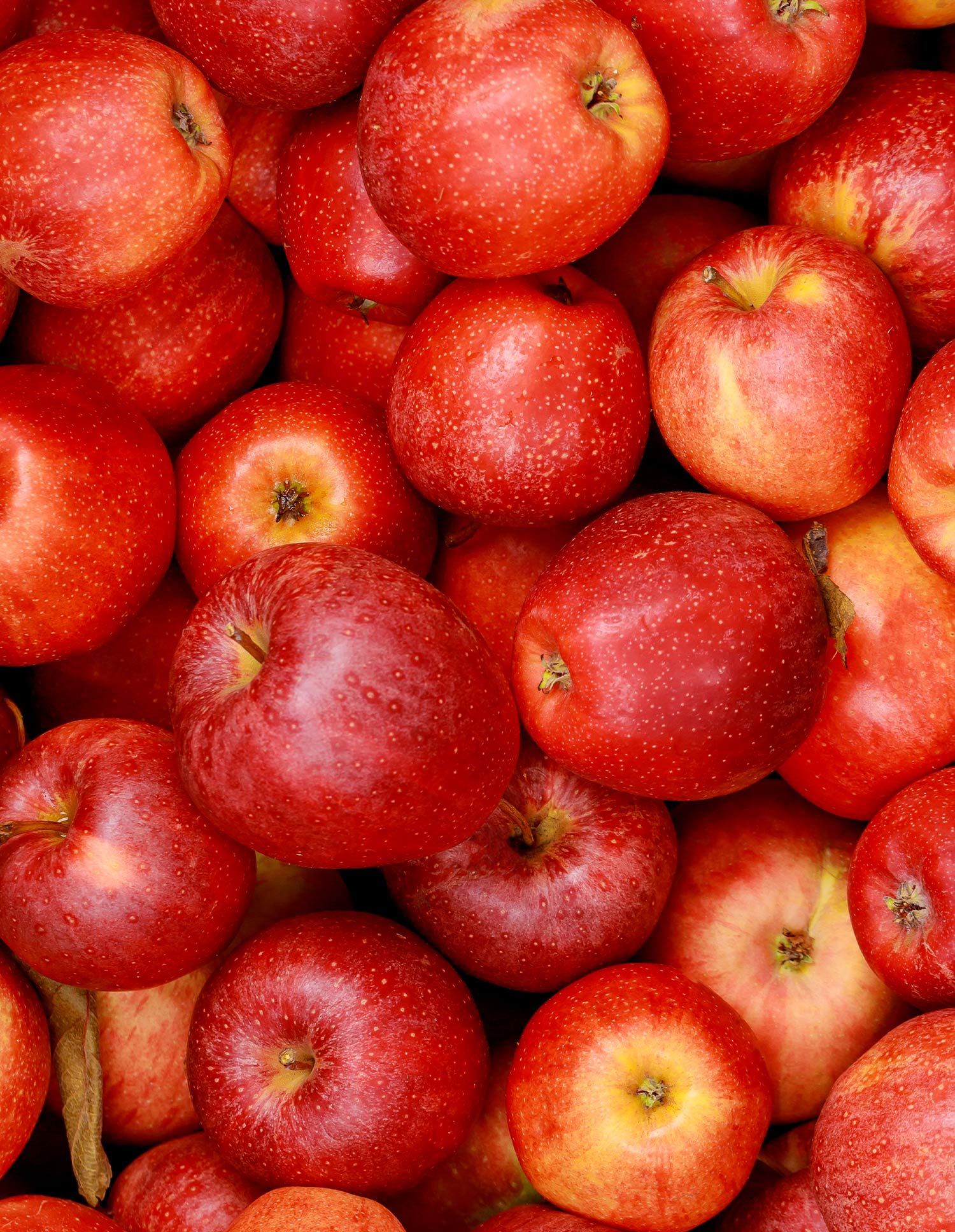 Mustimo Apfel-Granatapfel 1.000ml