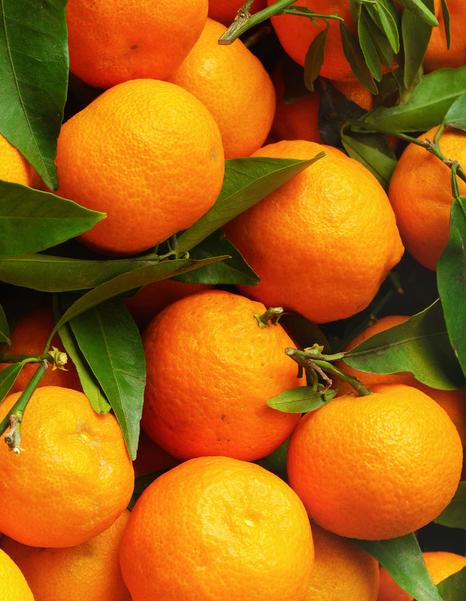 Mustimo Mandarine 1.000ml